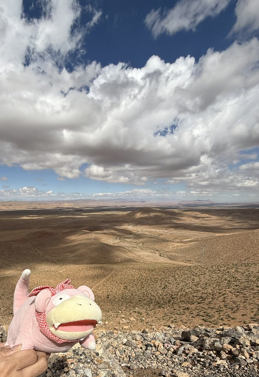 mlwmlwcat's tweet photo. Yadon's World Tour: Morocco Edition https://t.co/Cz1Krrh2Zz