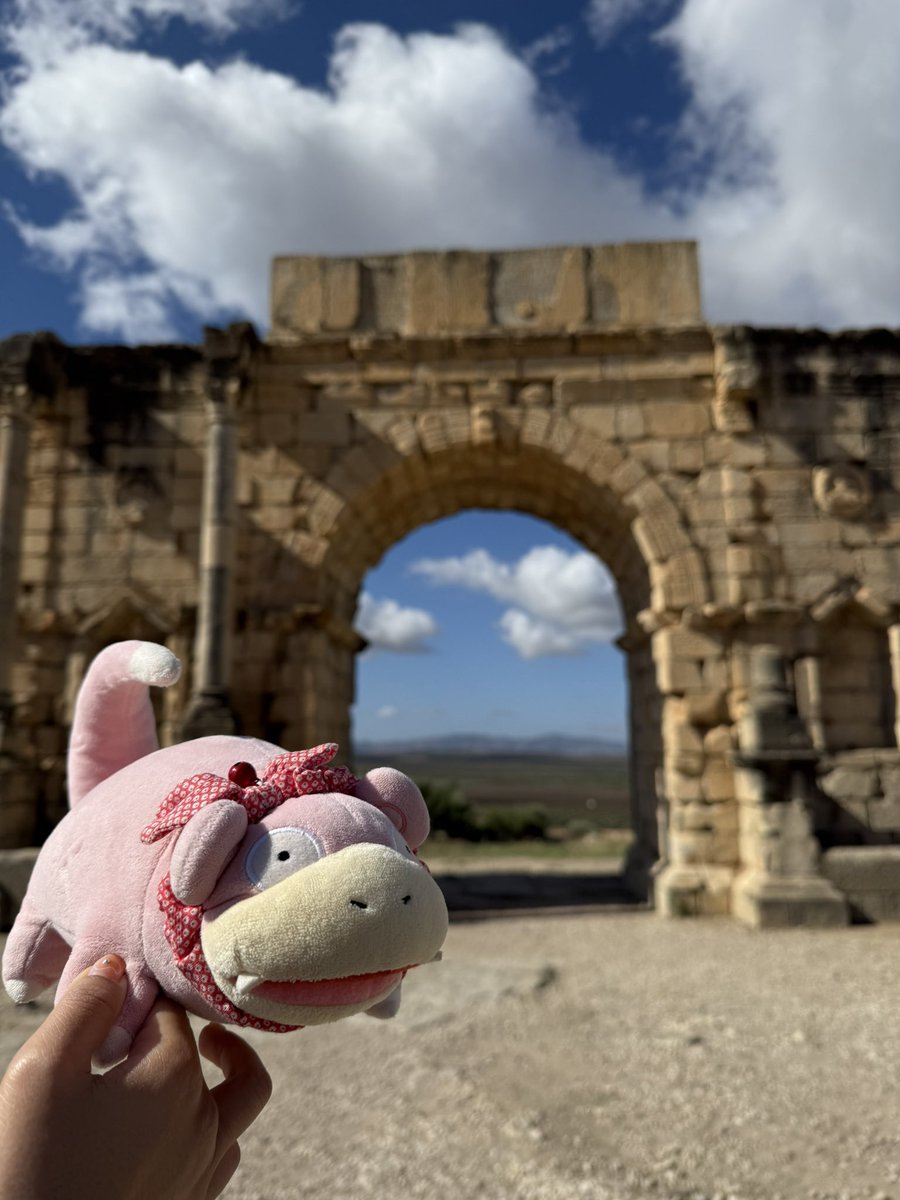 mlwmlwcat's tweet photo. Yadon's World Tour: Morocco Edition https://t.co/Cz1Krrh2Zz