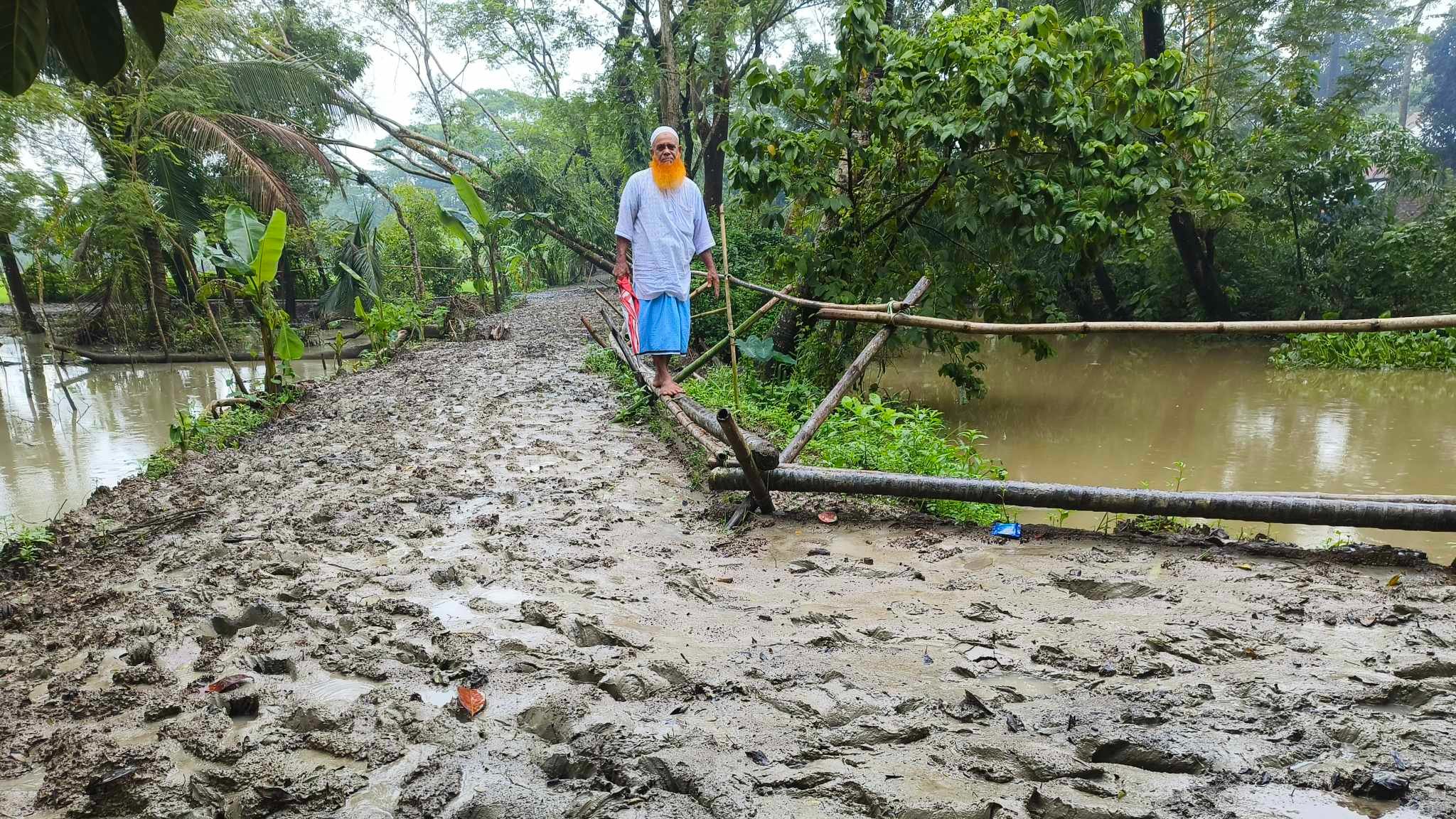 আমতলীতে সড়ক সংস্কারের অভাবে রাস্তা বিলুপ্ত, চলাচলের জন্য বাঁশের সাঁকো
