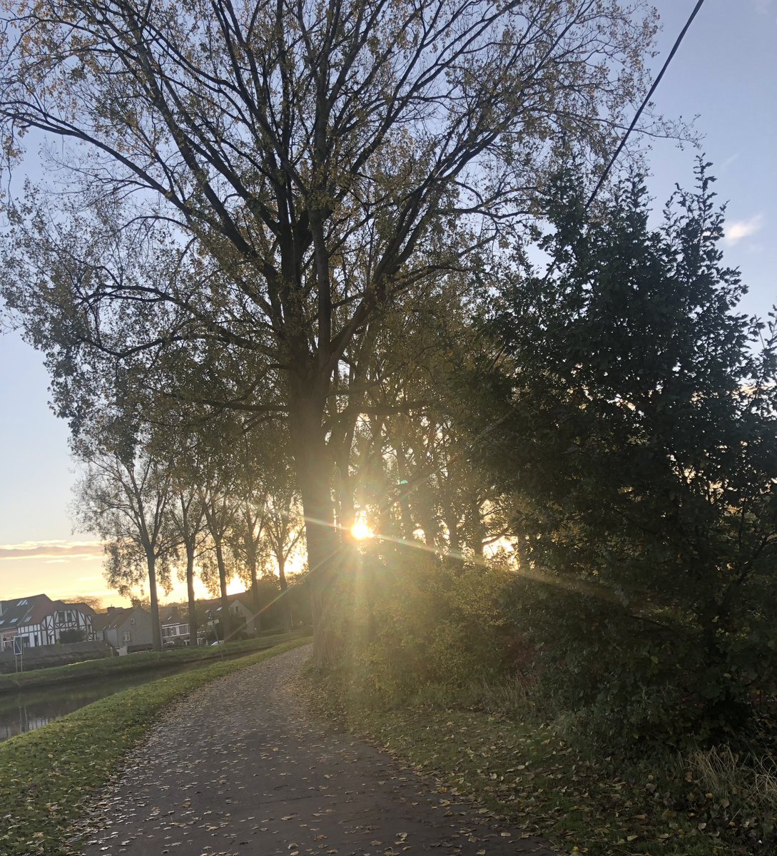 TDesmaele's tweet photo. Zo, een flukse en vlijtige 15km gelopen langs een pad bezaait met herfst en kleur en gladdigheid, dat ook. De zon prikte me in de ogen met haar vervelende stralen. #ochtendloop https://t.co/hHyon70A7k