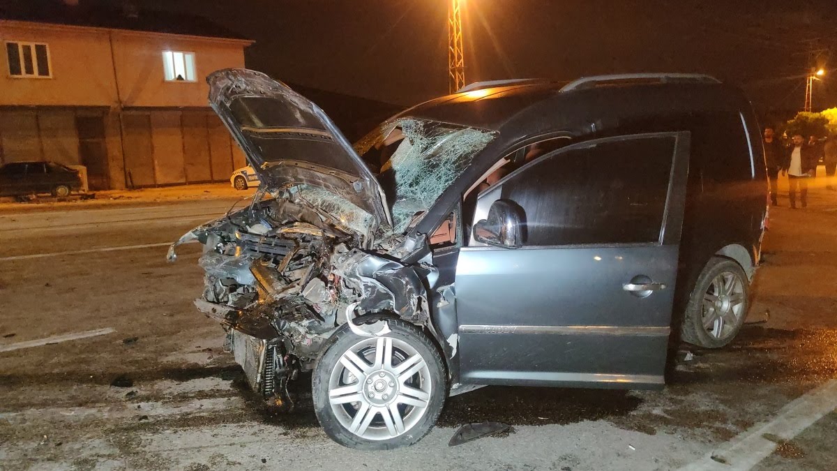 Başıboş Köpek Tehlikesi tweet media