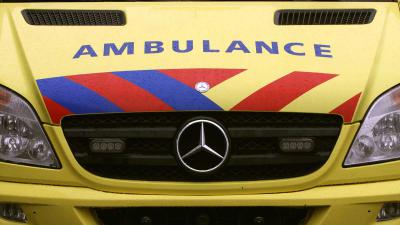 friesland tweet media