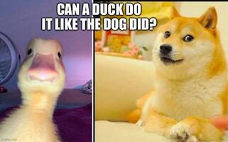 If $DOGE can do it, then it’s only a matter of time before we see duckereum.com flying high! 🐤 Get your ducks in a row before they take off and join the flock—because who doesn't love a good moonshot, especially when it comes with a quack? 🚀
dextools.io/app/en/ether/p…