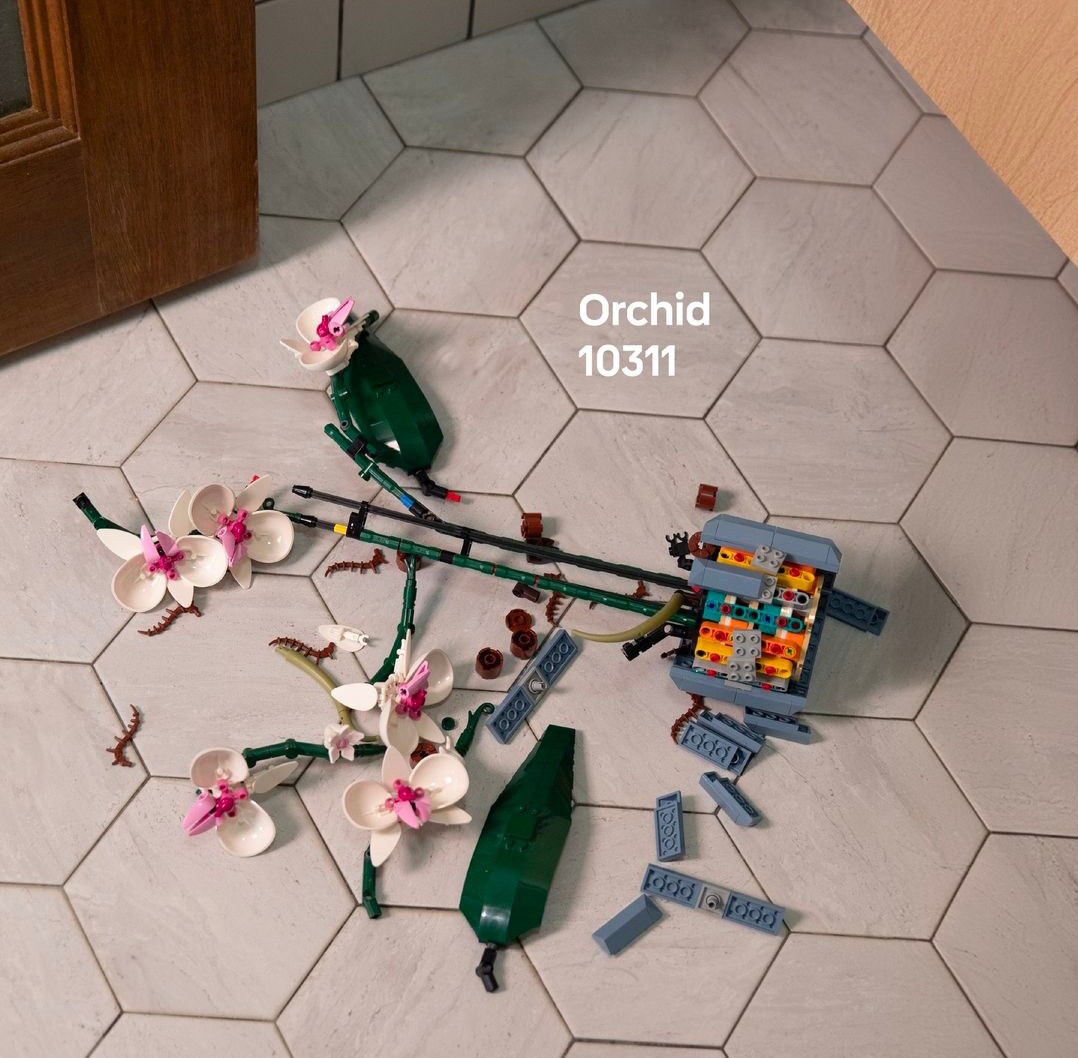 dewlanna's tweet photo. Dat vind ik nu eens een geniale campagne.

Well played, @LEGO_Group https://t.co/9u8fOfCyXm