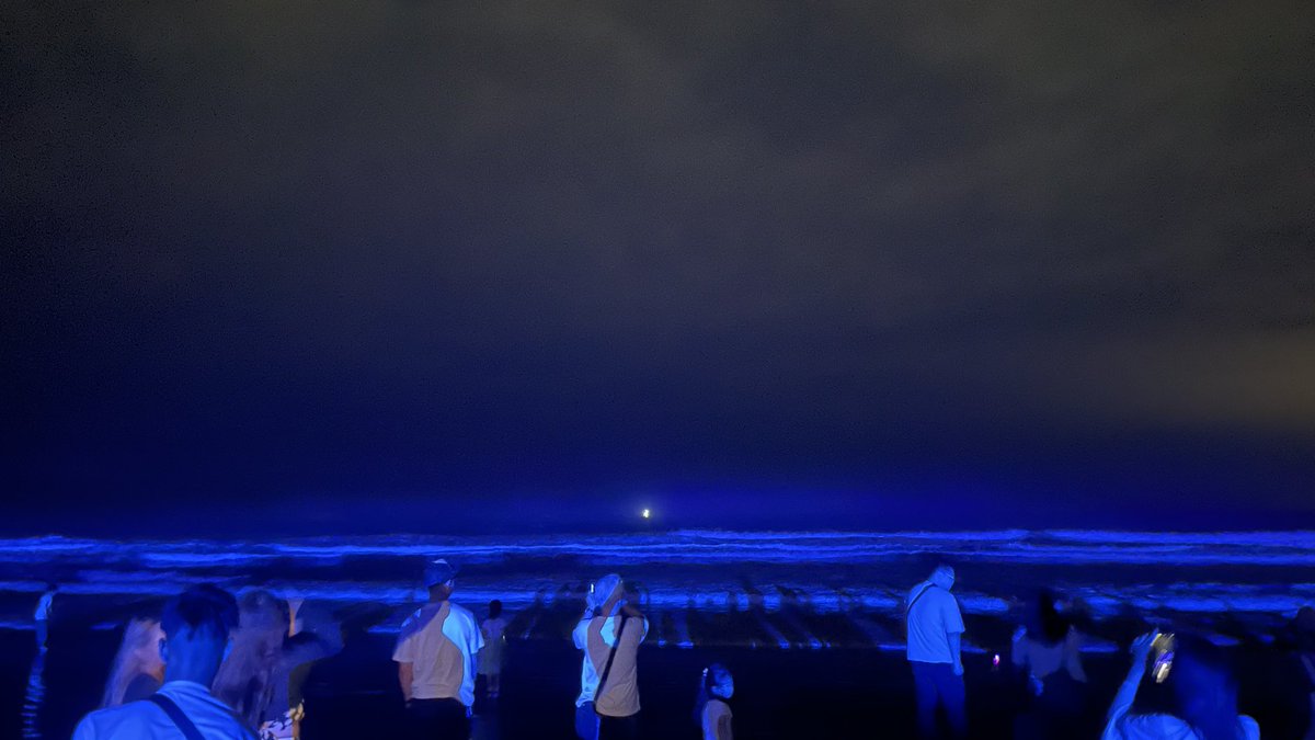 anagodaisuki777's tweet image. Night park Oarai に来た、久しぶりの茨城。
色々とあってキレイで楽しい、特にNight Waveは必見かも。夜でも波を感じられるように優しい青い光を浜から照らしてて素敵。

明日（10/20）までやってて無料だから時間あればオススメ。都内から2時間ぐらいのドライブ。

#NightWave