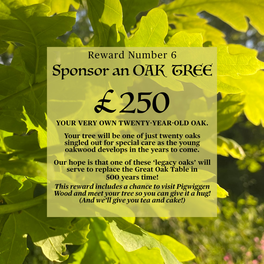 I'm fundraising to create the longest table on earth crafted from a single English oak tree. 

"A potent symbol of hope in a kinder world."  

Watch the lively video here: crowdfunder.co.uk/p/great-oak-ta…

Visit the wood to meet your tree! (I'll bake you a cake!) #PigwiggenWood