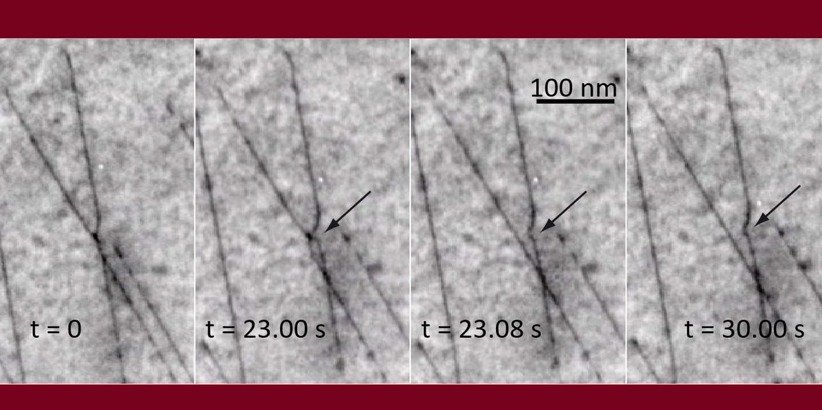 CEMES-CNRS (@cemes_cnrs) on Twitter photo 🔬
Heavy plastic deformation hardens materials through a process described by the Taylor law. At <a href="/CEMES_CNRS/">CEMES-CNRS</a>, using in situ transmission electron microscopy we found that the law fails at low temperatures
👇
cemes.fr/en/2024/10/18/…
<a href="/CNRSphysique/">CNRS Physique</a> <a href="/CNRS_Toulouse/">CNRS Occitanie Ouest</a> 🔬
Heavy plastic deformation hardens materials through a process described by the Taylor law. At <a href="/CEMES_CNRS/">CEMES-CNRS</a>, using in situ transmission electron microscopy we found that the law fails at low temperatures
👇
cemes.fr/en/2024/10/18/…
<a href="/CNRSphysique/">CNRS Physique</a> <a href="/CNRS_Toulouse/">CNRS Occitanie Ouest</a>