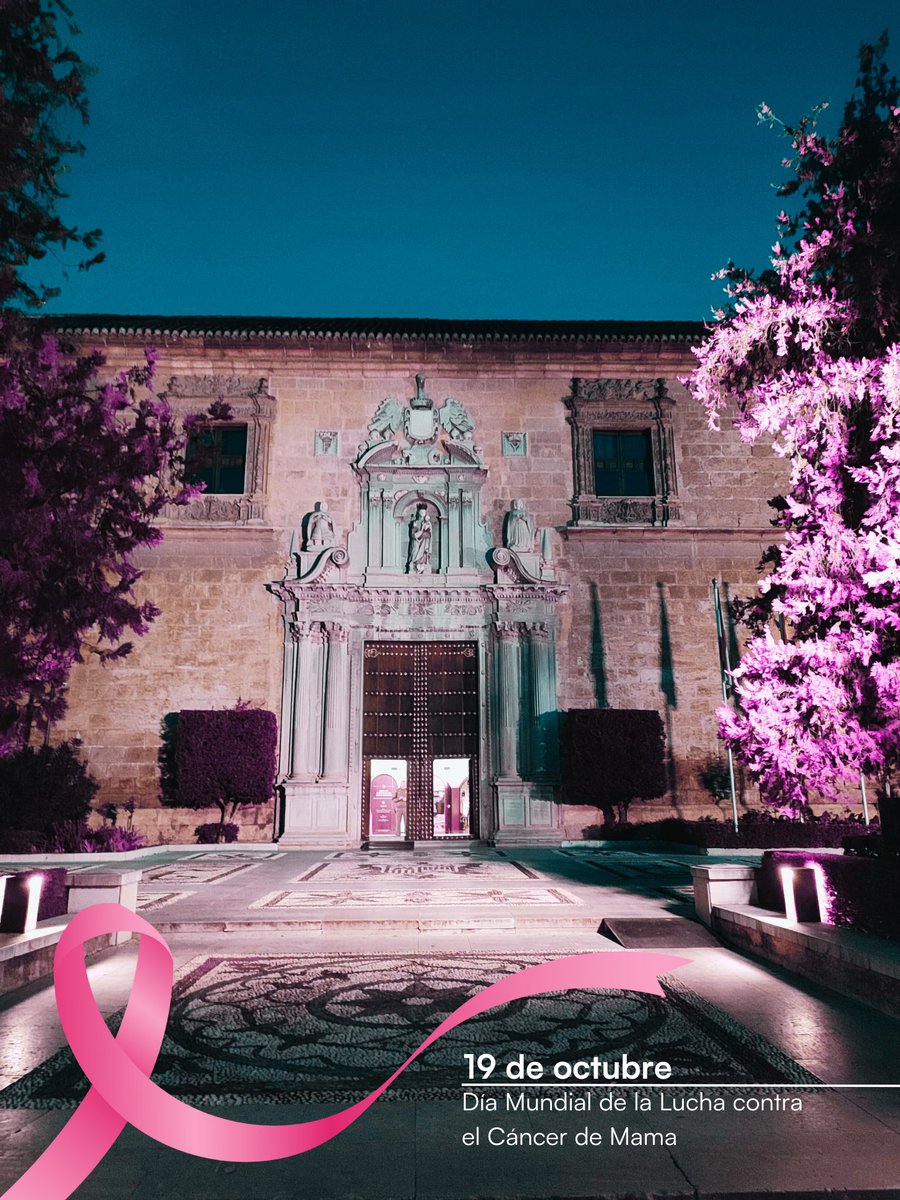 🩷Día Mundial de la Lucha contra el Cáncer de Mama

💪🏼Hoy celebramos la fuerza y valentía de quienes enfrentan esta lucha

⚛️La ciencia sigue abriendo nuevas puertas en diagnóstico y tratamiento

🤲🏼Gracias a todos los que trabajan por un futuro libre de esta batalla #CancerDeMama