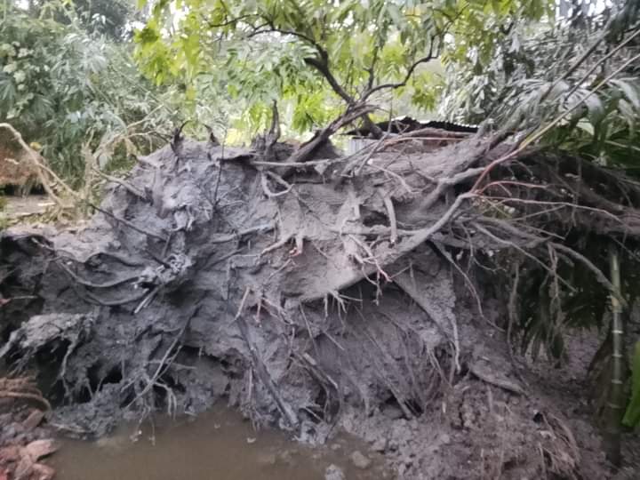 হঠাৎ ৫ মিনিটের ঝড়ে লন্ডভন্ড পুরো এলাকা