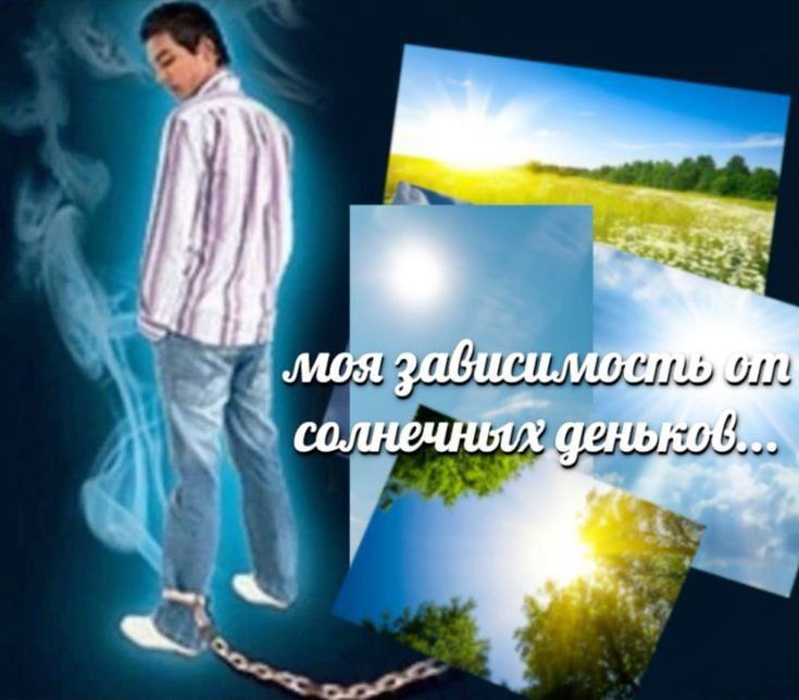Russian Memes United tweet media