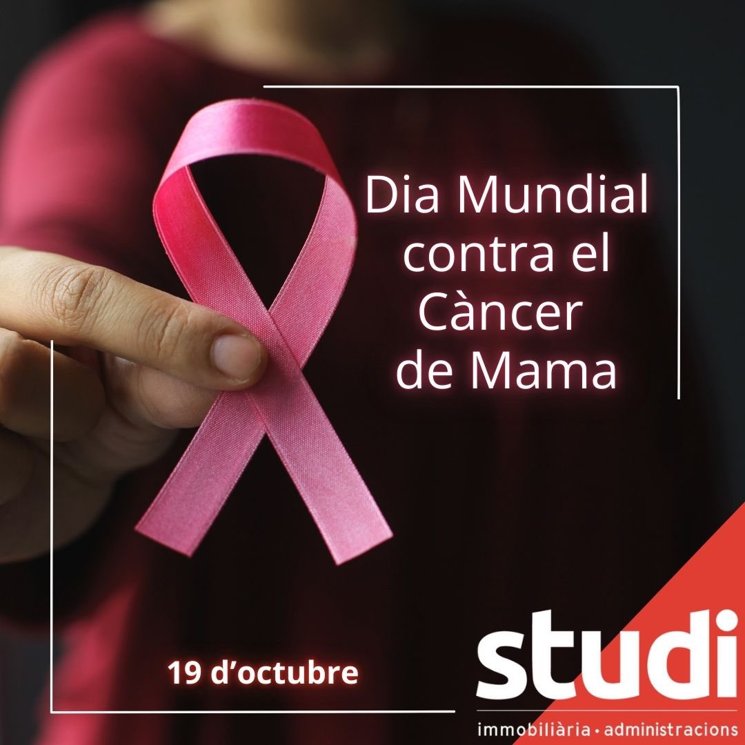 Studi_Mataro's tweet photo. 📍Avui és un dia molt important, el 19 d'octubre 
se celebra el #diamundialcancerdemama 

📍Un dia molt important perquè posa en relleu, ens recorda, que la prevenció, el diagnòstic precoç i la investigació són essencials💪🏻

#19Octubre #CancerDeMama https://t.co/krjFSaqtpC