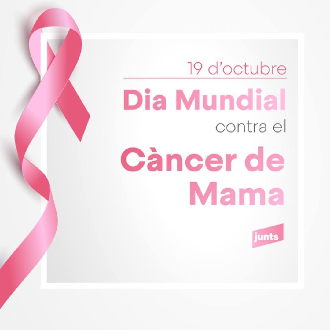 🌸 "Avui, Dia Mundial del Càncer de Mama, ens unim a totes les persones que lluiten cada dia." 🌸
💕 Des de Tots i Junts, volem mostrar tot el nostre suport a les dones valentes que enfronten aquesta malaltia, i a les seves famílies. #DiaMundialDelCàncerDeMama #Junts #santfeliu