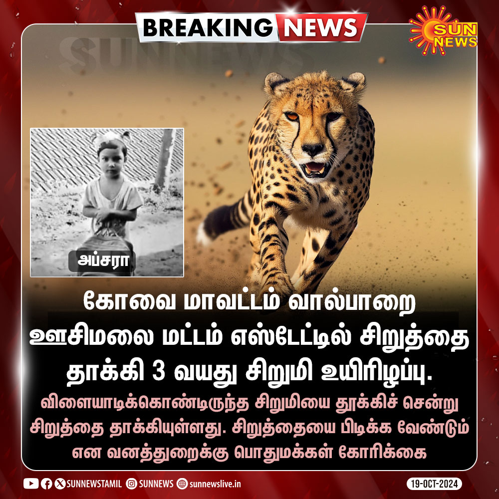 sunnewstamil's tweet photo. #BREAKING | சிறுத்தை தாக்கி 3 வயது சிறுமி உயிரிழப்பு
#SunNews | #Coimbatore | #CheetahAttack https://t.co/xQBcRqbgLE