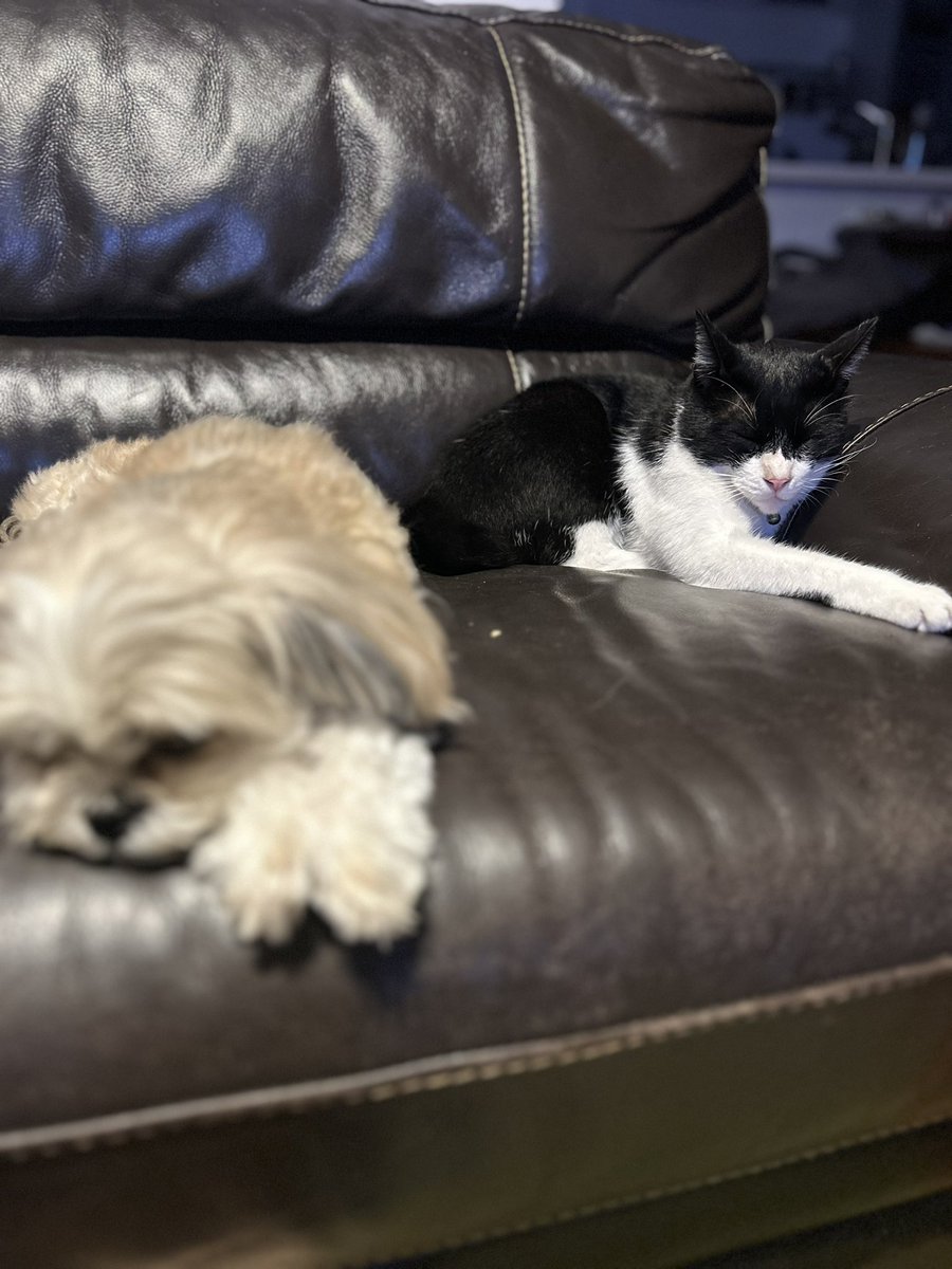 Ari (@berry_sunny_ari) on Twitter photo 