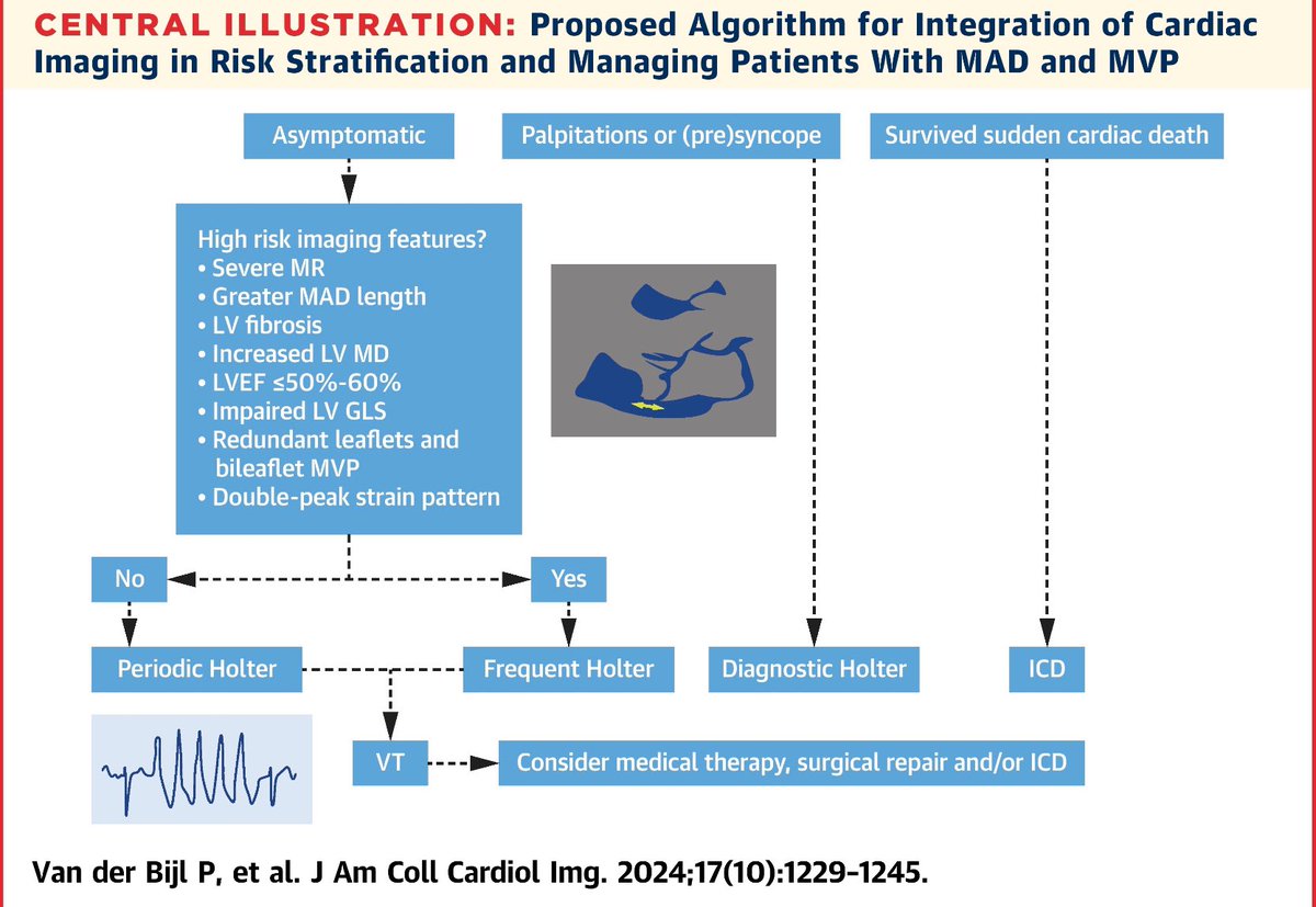 Algoritmo para estratificación del riesgo en pacientes con disyunción del anillo mitral : más que interesante bit.ly/3BK59I0