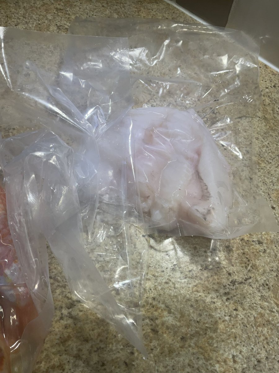 BeeNubian's tweet photo. #FishySaturday my new Cornish fishmonger delivered a live lobster 😱next to my #RedGurnard #RedMullet #MonkfishTail @leesah_zimbo @enyambi @boldcolours @SMununuri @cssmjcksn @jintygal31 @ProblematicBac1 https://t.co/eIEz6F1SGo