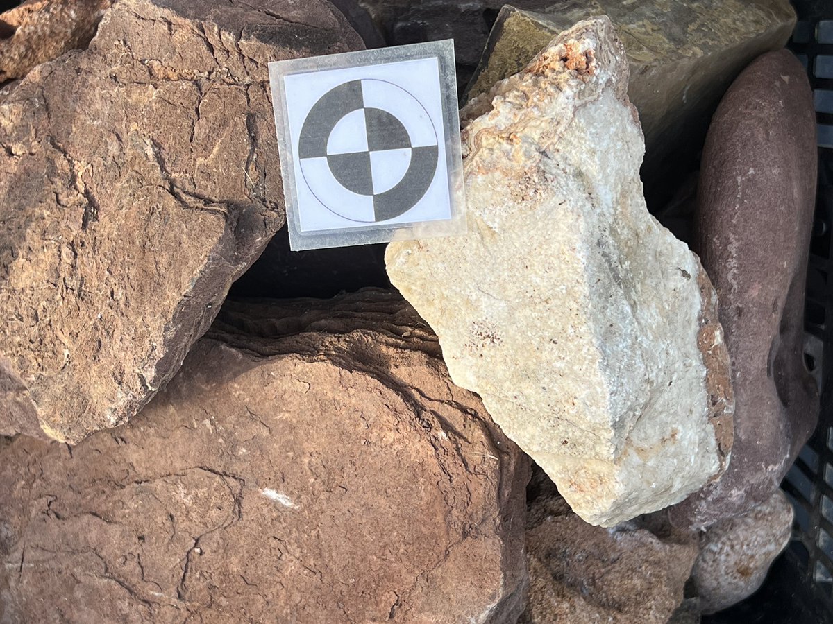 Materials litics decomisats a l’aeroport de #Menorca. L’expoli i erosió silenciosa cc/ <a href="/geologoenapuros/">Un geólogo en apuros 🏳️‍🌈</a> <a href="/geocastaway/">GeoNáufragos</a> <a href="/MUCBOsoller/">MUCBO | Jardí Botànic -Museu de Ciències Naturals</a> @SHNB_BSHNB <a href="/pabl80/">Pablo Sensei Oyabaka</a>