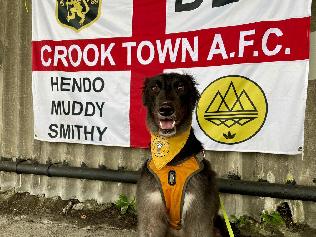 MillfieldMurphy's tweet photo. Arrived a bit early for @crooktown_afc FA Vase game and the @nonleaguedogs day but good to go https://t.co/rzkf9XUuZK