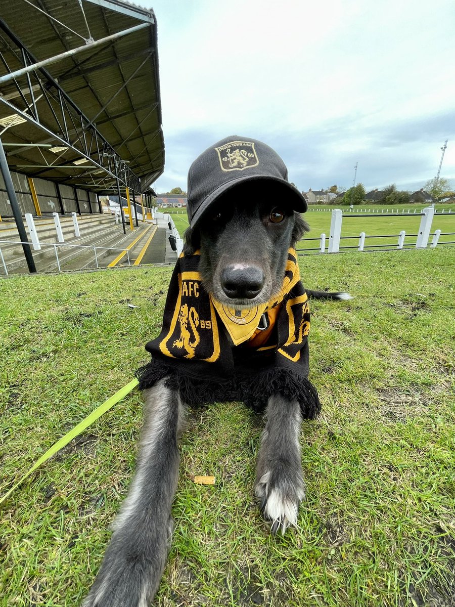 Arrived a bit early for <a href="/crooktown_afc/">Crook Town AFC 🖤💛</a> FA Vase game and the <a href="/nonleaguedogs/">nonleaguedogs</a> day but good to go