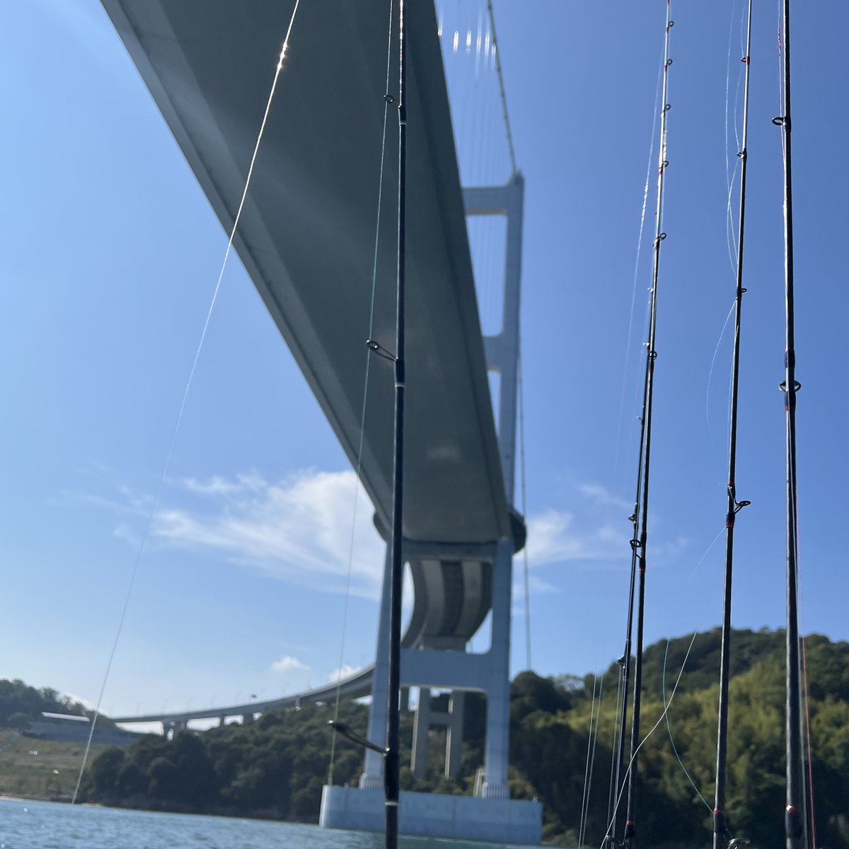 turiken753's tweet photo. 昨日は職場の先輩たちと船釣りへ🎣

チャリコはリリースしましたが、自分のタイラバ史上最高となる7匹を釣り上げることができました✨
来島丸さんありがとうございました😊

#釣り好きな人と繋がりたい 
#fishing 
#愛媛釣り
#船釣り
#タイラバ
#マダイ #真鯛
#seabream #redseabream 
#今治
#来島丸 https://t.co/qK9Xz3xuxh