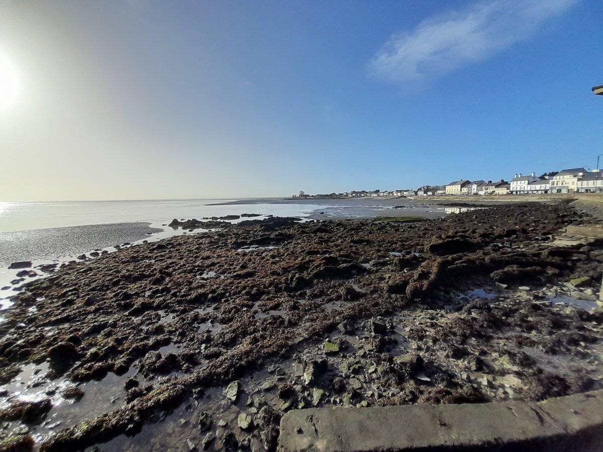 VisitBlackrock tweet media