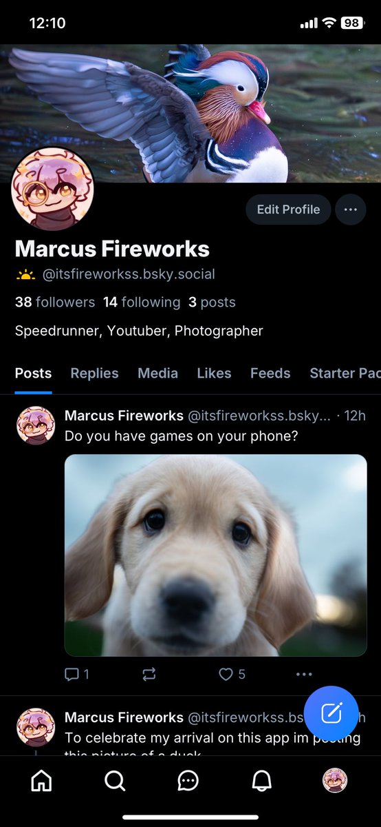 Fireworkss tweet media