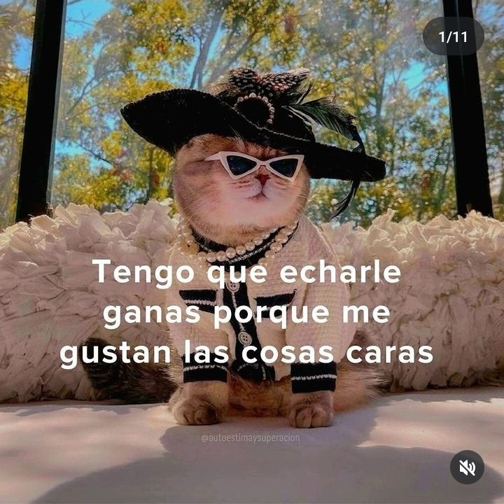 choccomani's tweet photo. El meme oficial de Michu reina 👑 
#GranHermanoCHV https://t.co/JowVagaC3f