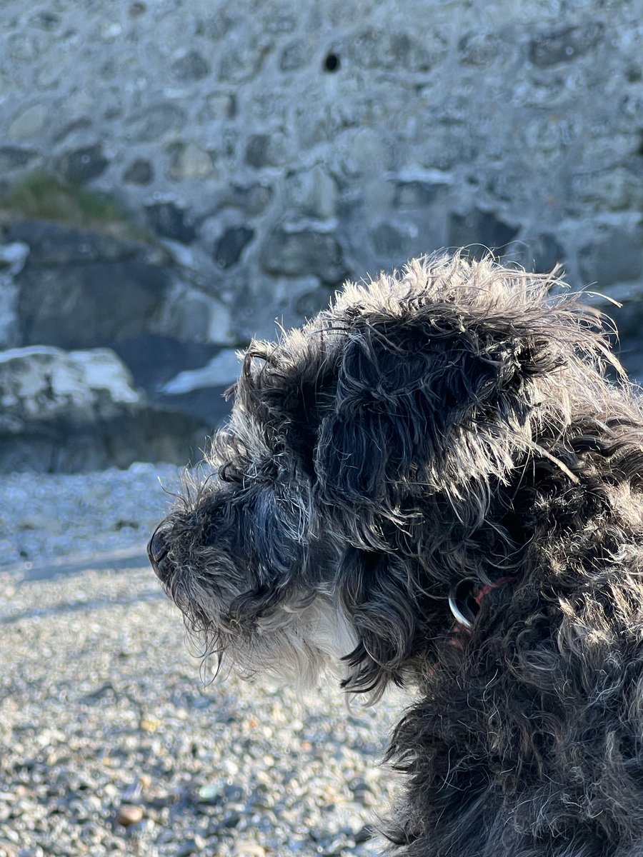 Dr Tim Meek tweet media