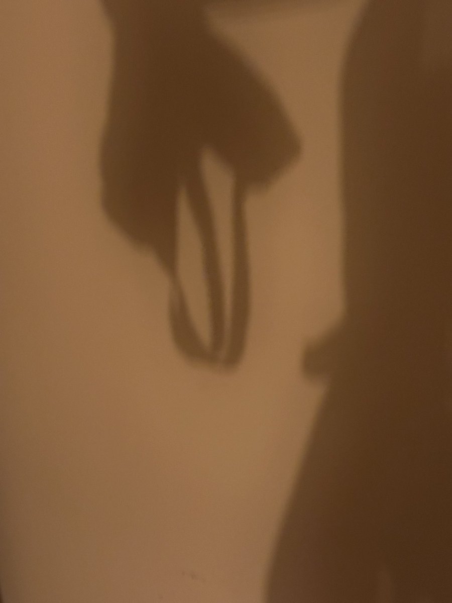 乍鱼干 tweet media