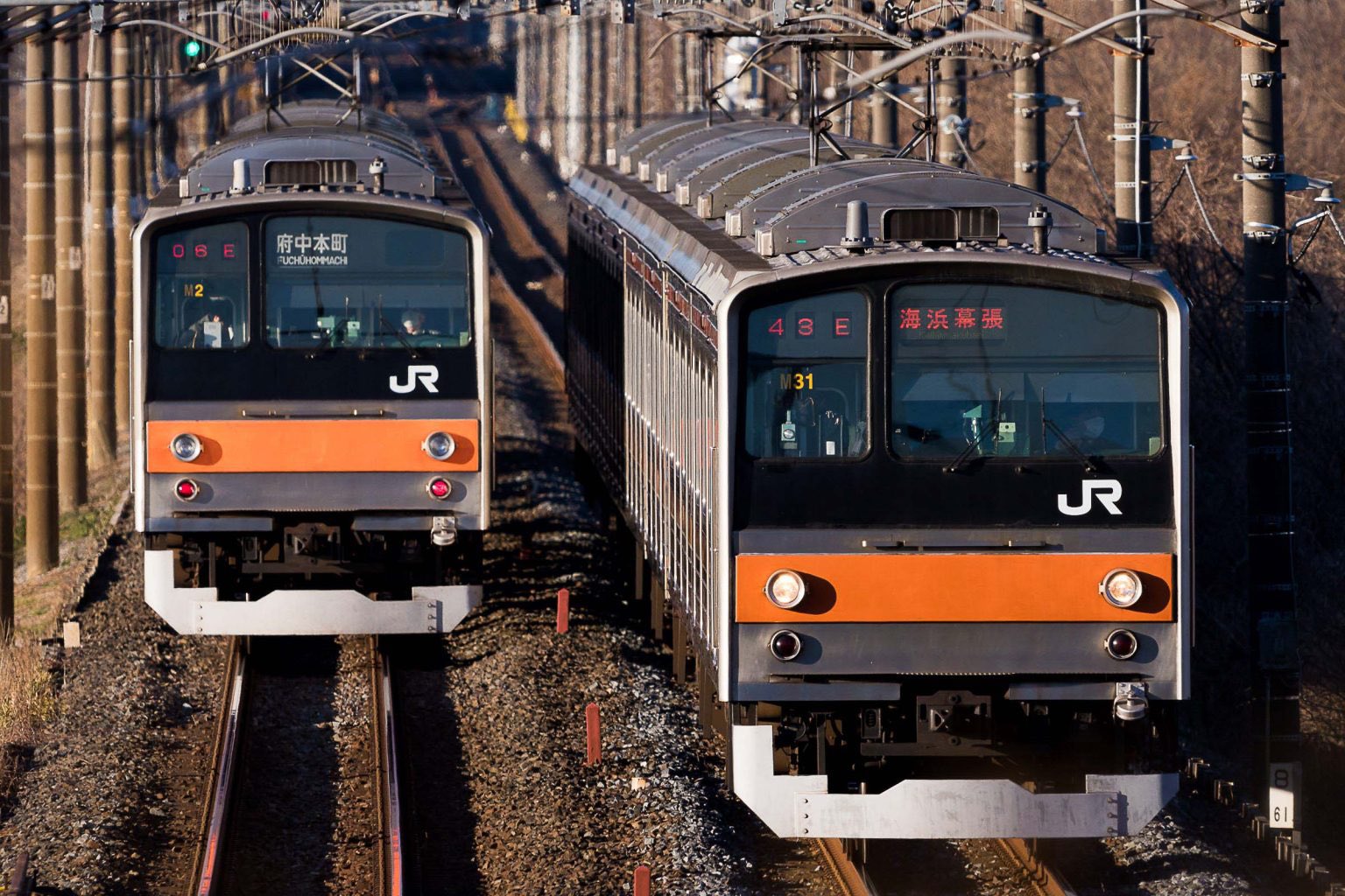NEWS - いつき様 Amazon.co.jp: ゼクス Z/X E29-056 【暁星】の輝き プリズム (BR