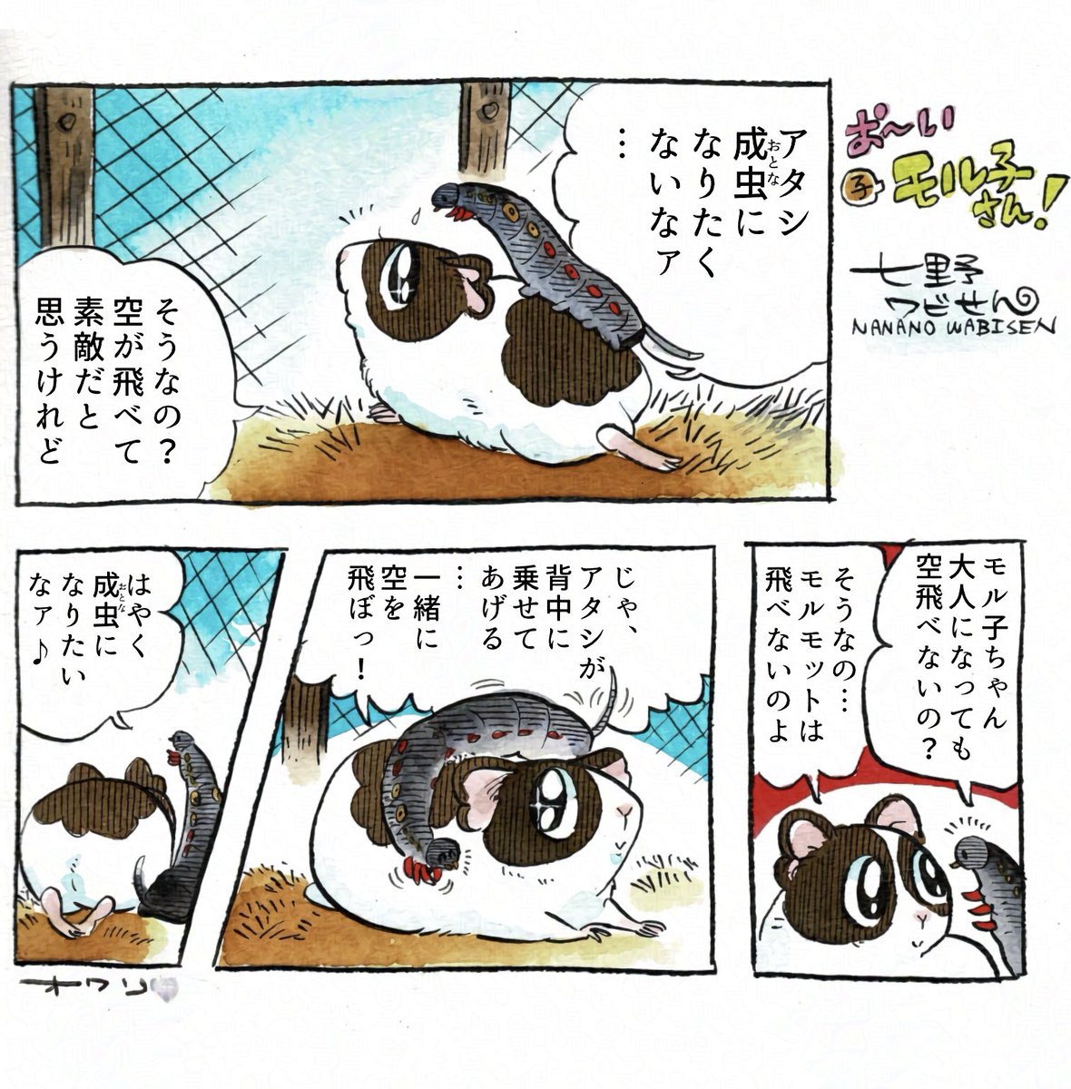 モル子さんとスズメちゃん
  #モルモット 
  #セスジスズメ 