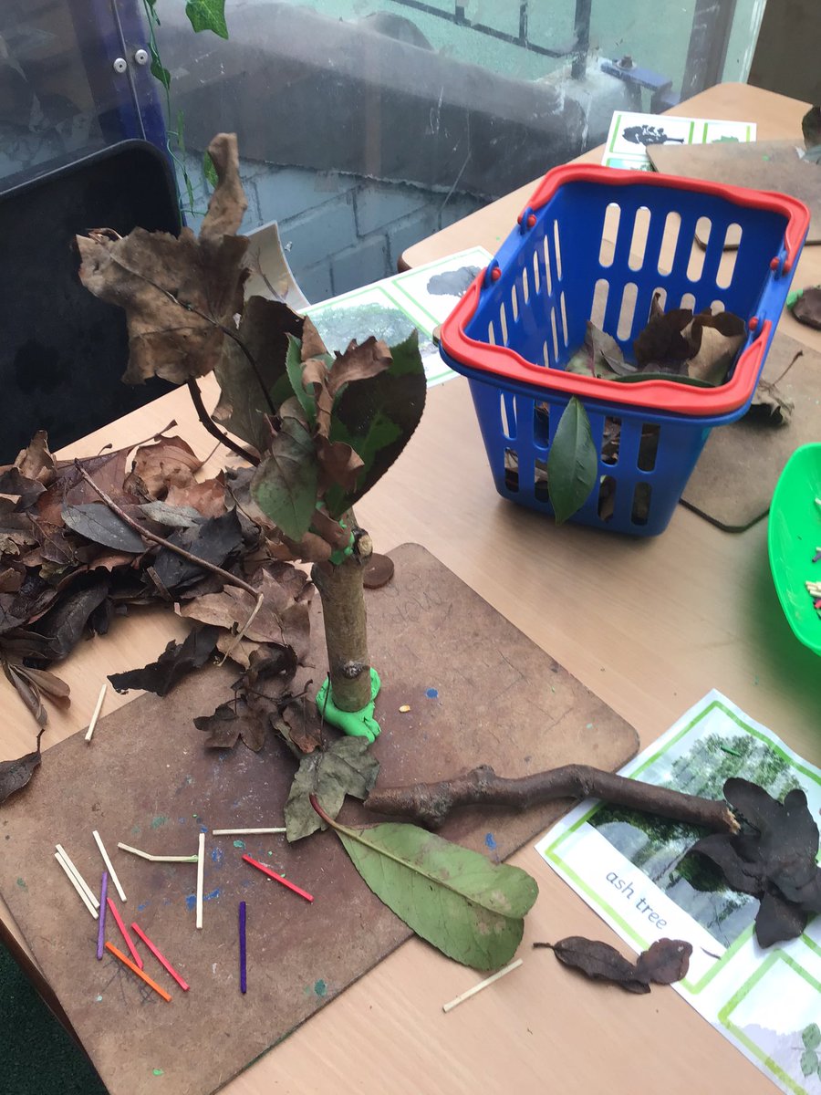 Morningside_ps's tweet photo. #Reception made trees using a variety of materials #EYFS #Exad #utw #outdoorlearning #finemotorskills #art https://t.co/tosiq5mg54