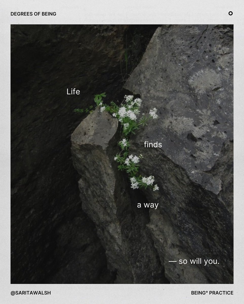 the artidote (@theartidote) on Twitter photo 