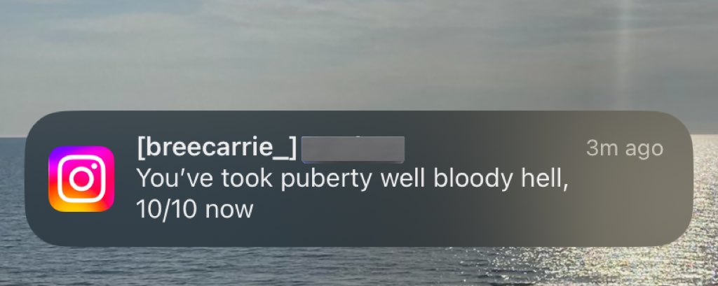 bree🦋 tweet media