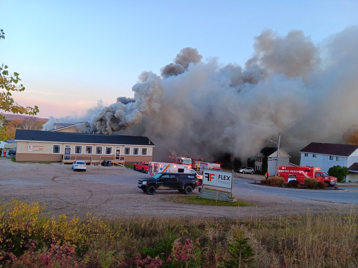 Tom Stewart tweet media