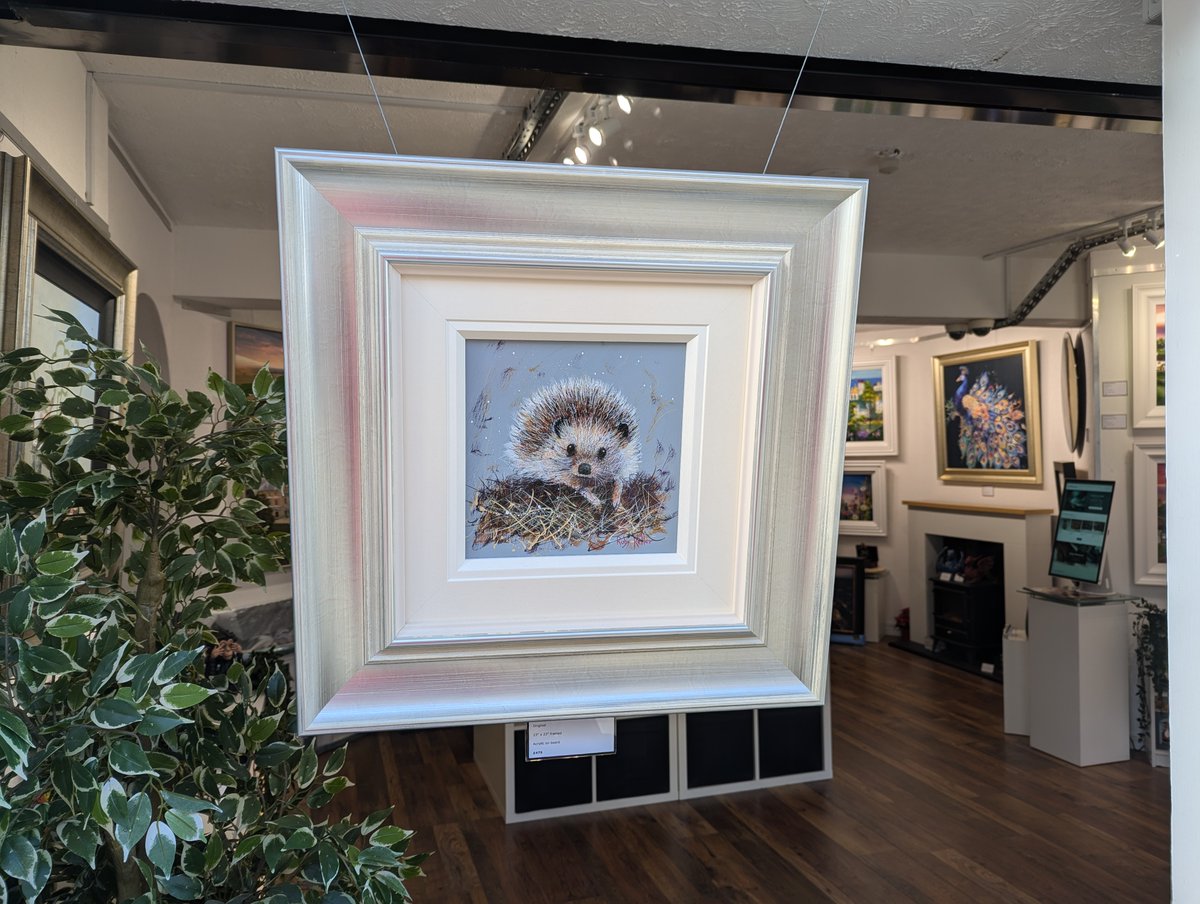 The adorable Twiglet's just scampered his way into our weekend window, full of curiosity and enjoying today's lovely sunshine ☀️☀️☀️

artworx.co.uk/collections/ru…