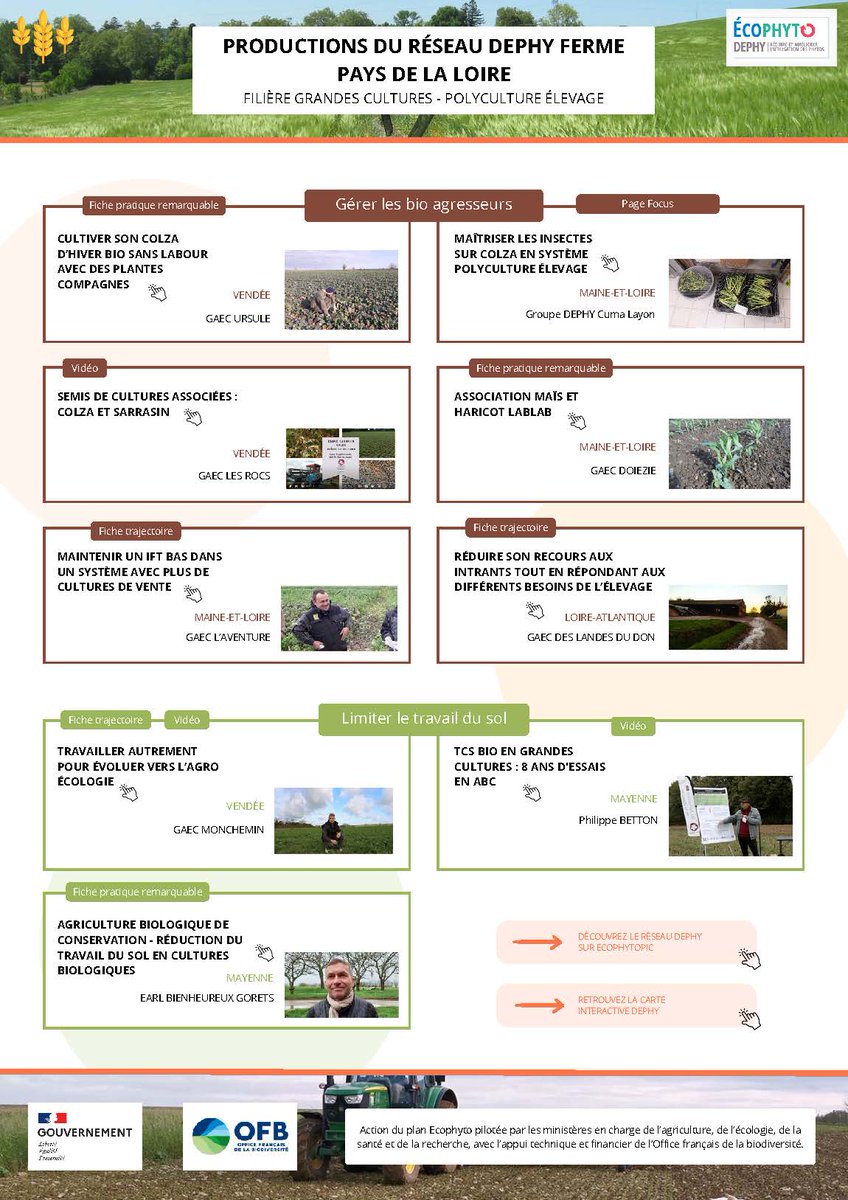 [Publication] Une nouvelle production DEPHY ferme vient de sortir !
👉 Ce recto/verso regroupe les productions des groupes DEPHY Ferme : fiches trajectoires, pratiques remarquables, accompagner les agriculteurs, vidéos et focus web...