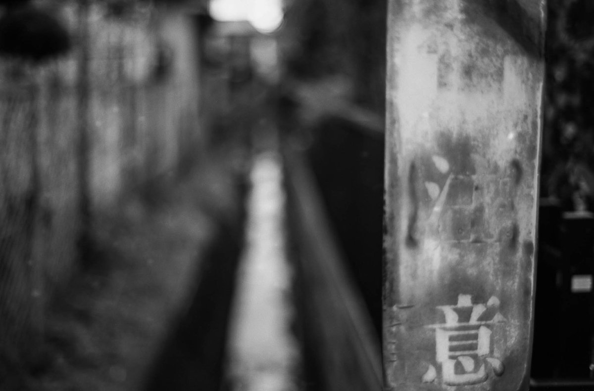 EN17988058's tweet photo. フィルムで撮った写真達
Canon New F-1

#��ィルム写真
#フィルムカメラ https://t.co/7PxEmlqY65