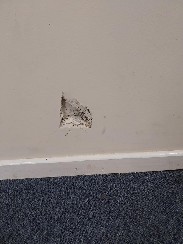WalsallSams2023's tweet photo. Early this morning, we had an attempted break in. So sad, as some money earmarked for our Project 55, will now be required for repairing the window. Lucky nothing taken, but window shattered and glass everywhere. Thank to our local neighbours who called the police. #Project55 https://t.co/2w6mKEOnd2