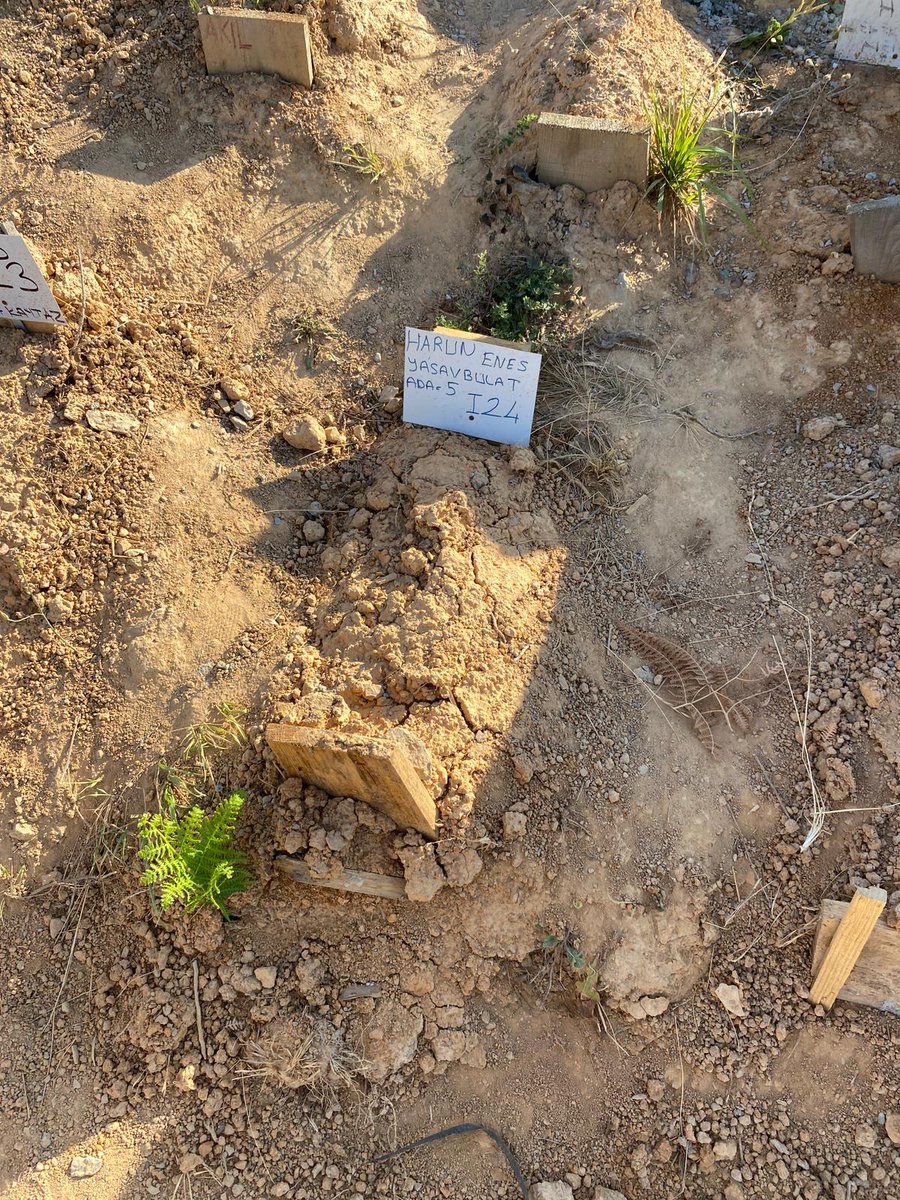 Ama olmadı. Oğlum daha fazla dayanamadı..02-07-2023 tarihinde vefat etti.Tamda hastaneye ziyarete gitmiştik. 10 dk. Önce vefat etmiş. İlk defa dokunduk hala sıcacıktı. O günlerde neler yaşadığımızı Allah cc, birde dostlarım biliyor. Edebiyat yapıp demagoji da yapmak değil amacım.