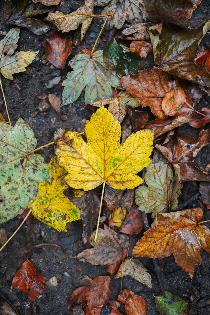 Martin LeBlanc tweet media