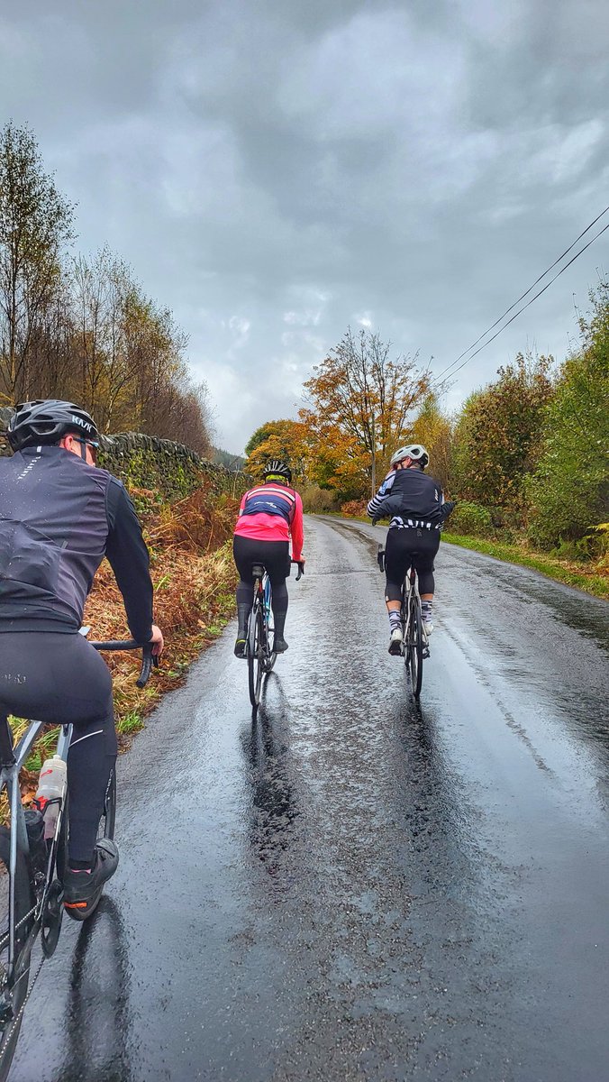 Zoë Westerman 🏴󠁧󠁢󠁷󠁬󠁳󠁿 tweet media