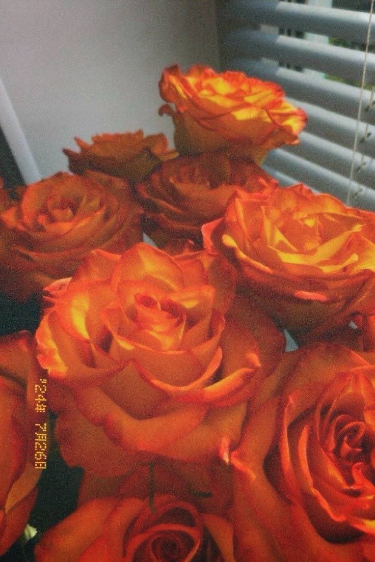 _sulinn_'s tweet photo. چاڤەرێ بوون یا ب زەحمەت نینە 
ئەگەر بوو کەسەکێ ژ هەژی بیت!🧡❤️‍🔥 https://t.co/YqlYvKUp36