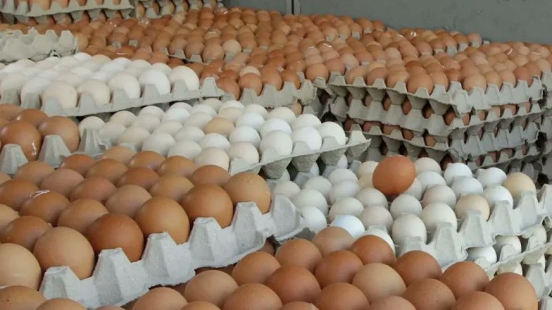 ডিমের বাজারে স্বস্তি, কমেছে ডিমের দাম