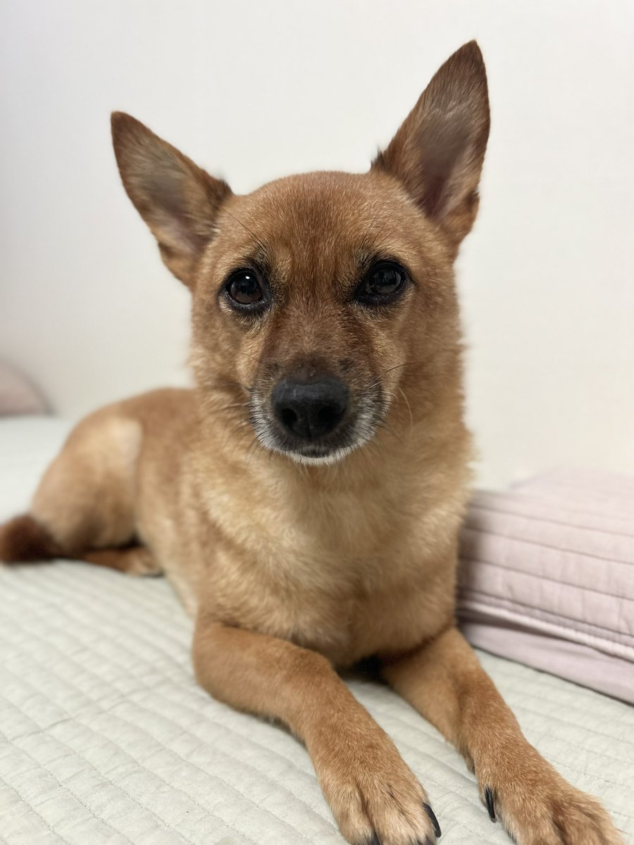 할말이 있어서 왔는데
다들 자는 거 같아서 
내일 하겠소