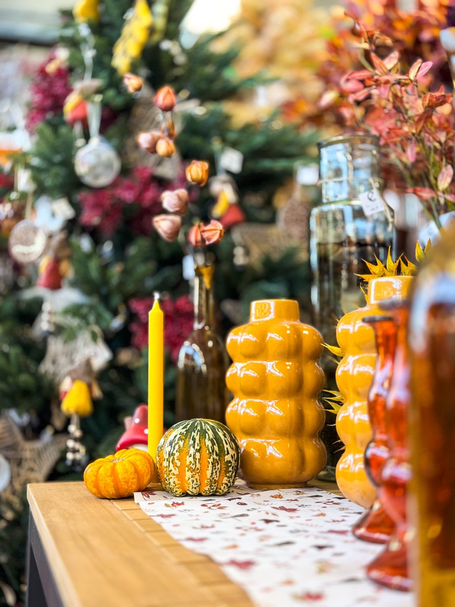 Vivers Ernest 🧡 Home & Garden tweet media