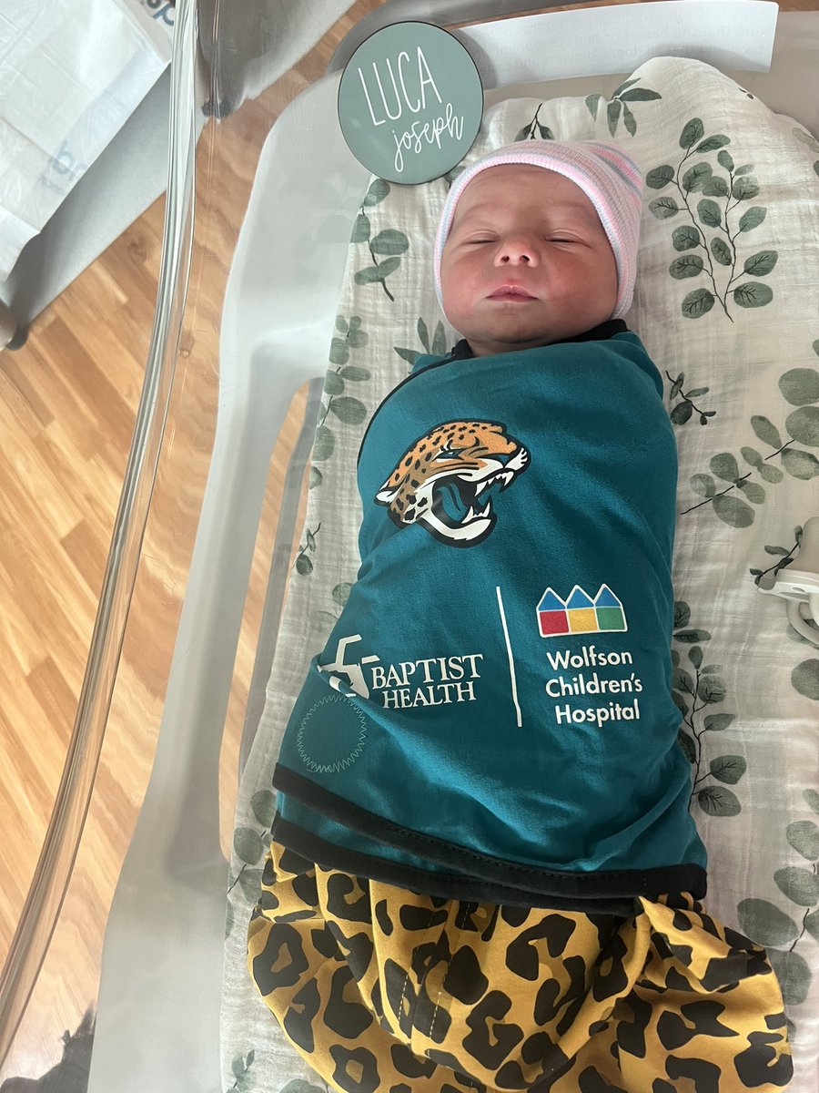 ohhaley's tweet photo. newest fan has arrived 🤍 https://t.co/48ovLIS5WX