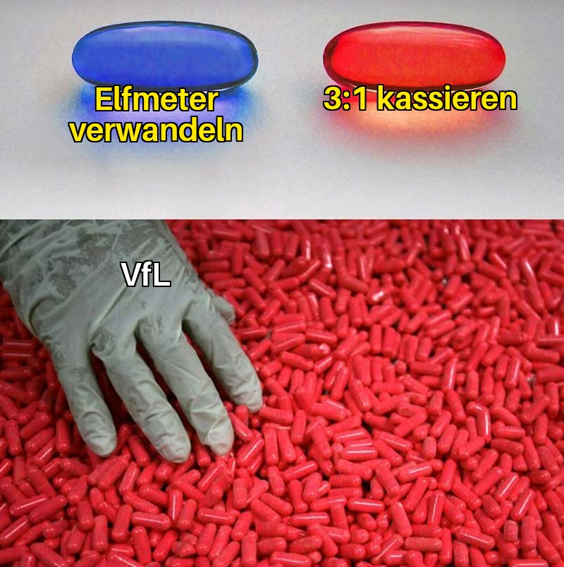 YannickC5's tweet photo. #TSGBOC #meinVfL #schmerzen #zeidlerbittebleibinsinnsheimundarbeitebeisapstattunserenvereinzuzerstören #wersollfürbrotrifftniebitte4miogebotenhaben https://t.co/KDigQ9JO9z