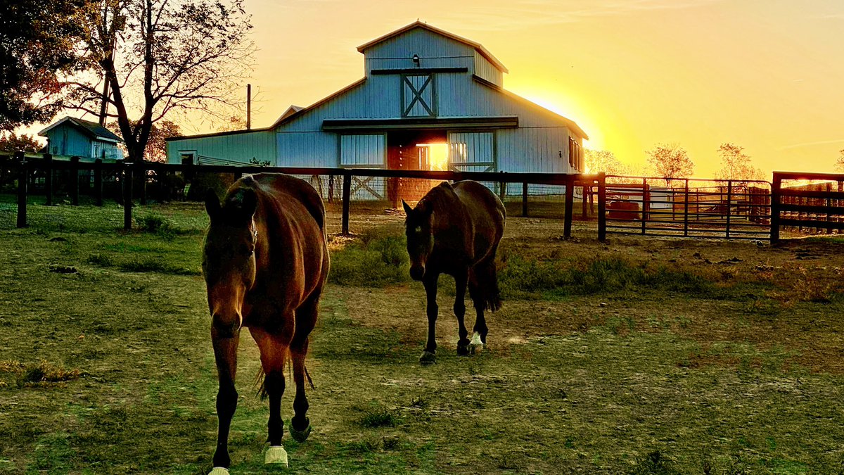 Mornings in Kentucky, by <a href="/mcclanahanjanet/">janet mcclanahan</a>