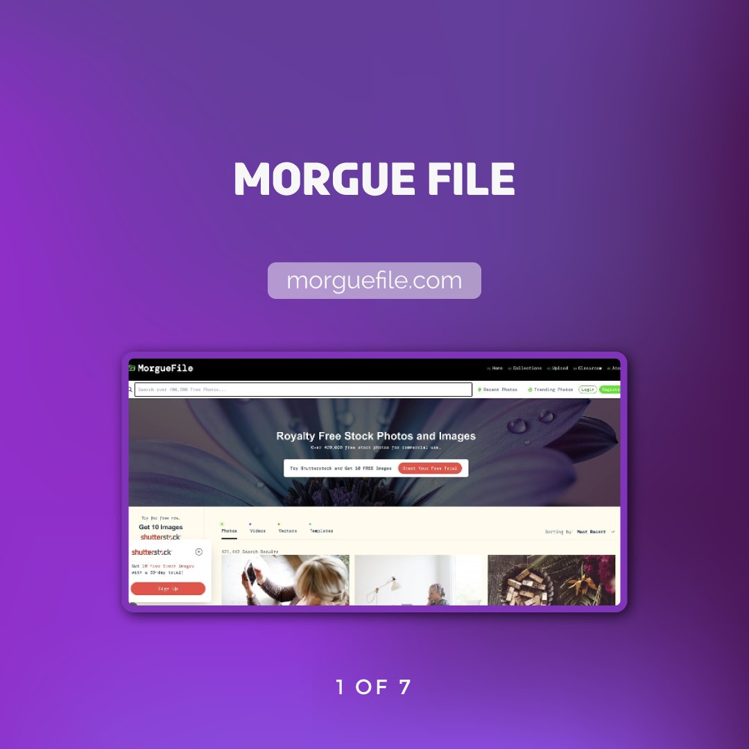 algrowvert's tweet image. ♾️ Searching for high-quality, free 4K stock photos? We&apos;ve got you covered with top sites to transform your designs!

👉 Discover the resources and share your favorite!

#algrowvert #UXDesign #UIDesign #WebDesign #DesignInspo #4KPhotos #StockImages